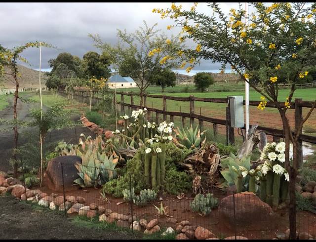 471HA FARM FOR SALE IN MIDDELBURG RURAL